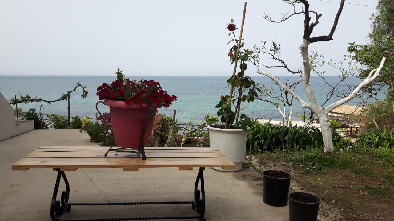 Διαμέρισμα George's Sea View Μεσογγή